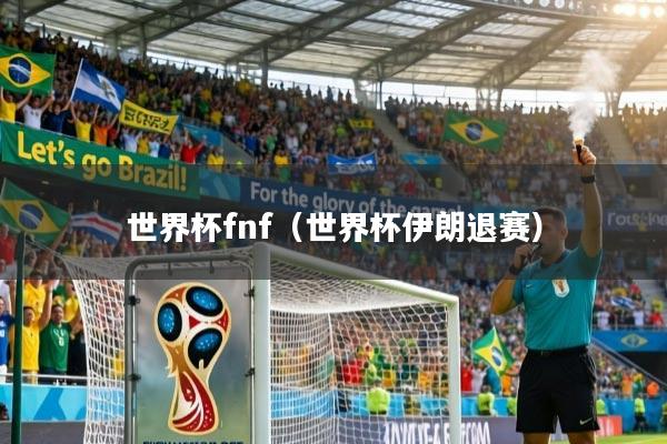 世界杯fnf(世界杯伊朗退赛)