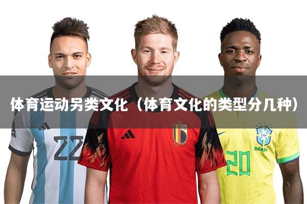 详细阅读:体育运动另类文化(体育文化的类型分几种) 体育运动另类文化(体育文化的类型分几种)