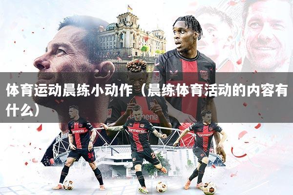 详细阅读:体育运动晨练小动作(晨练体育活动的内容有什么) 体育运动晨练小动作(晨练体育活动的内容有什么)