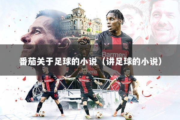 番茄关于足球的小说（讲足球的小说）